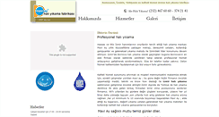 Desktop Screenshot of maviayhaliyikama.com